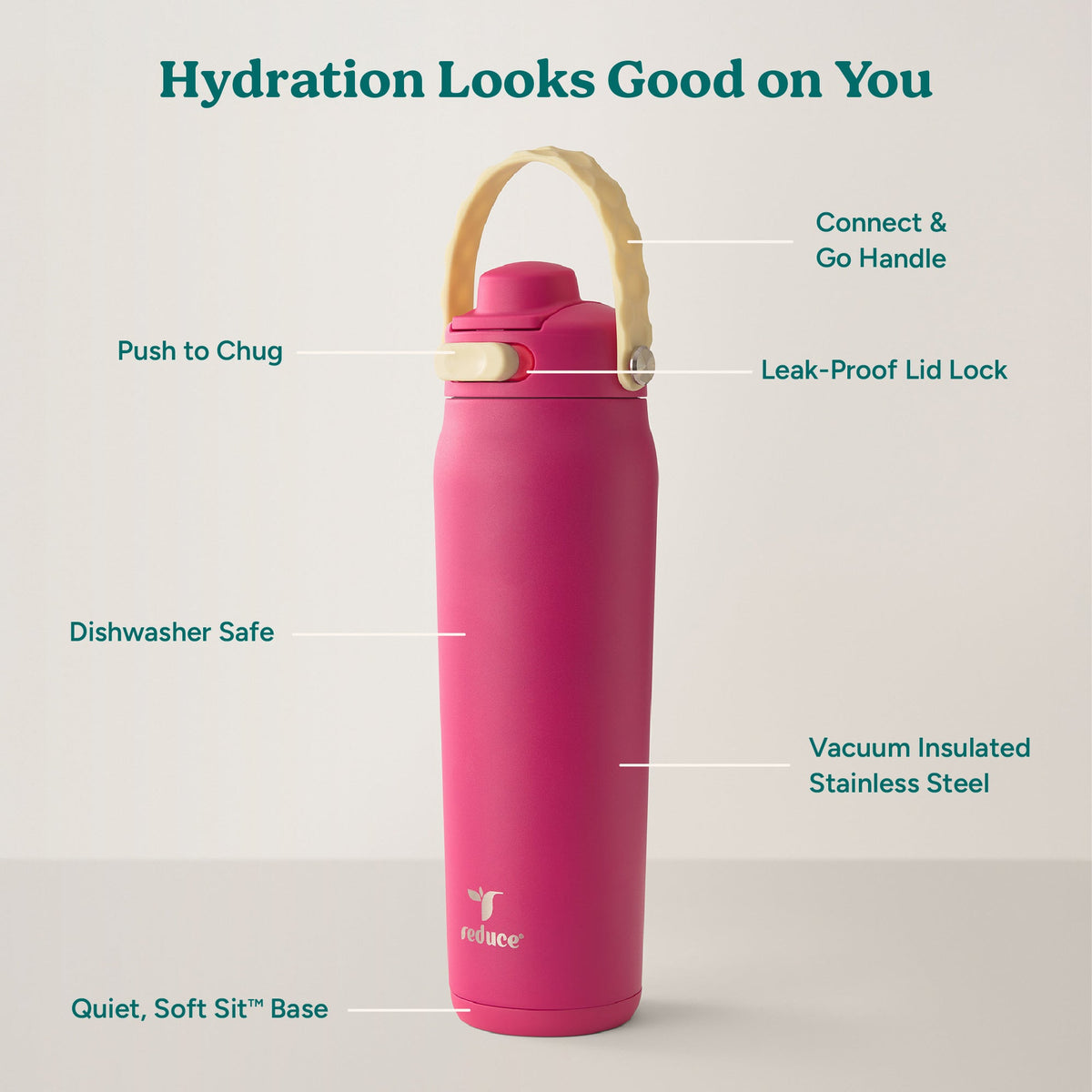 aura-26-oz-l3 Aura_26oz_DragonFruit_PDP_Infographic_2-03.jpg
