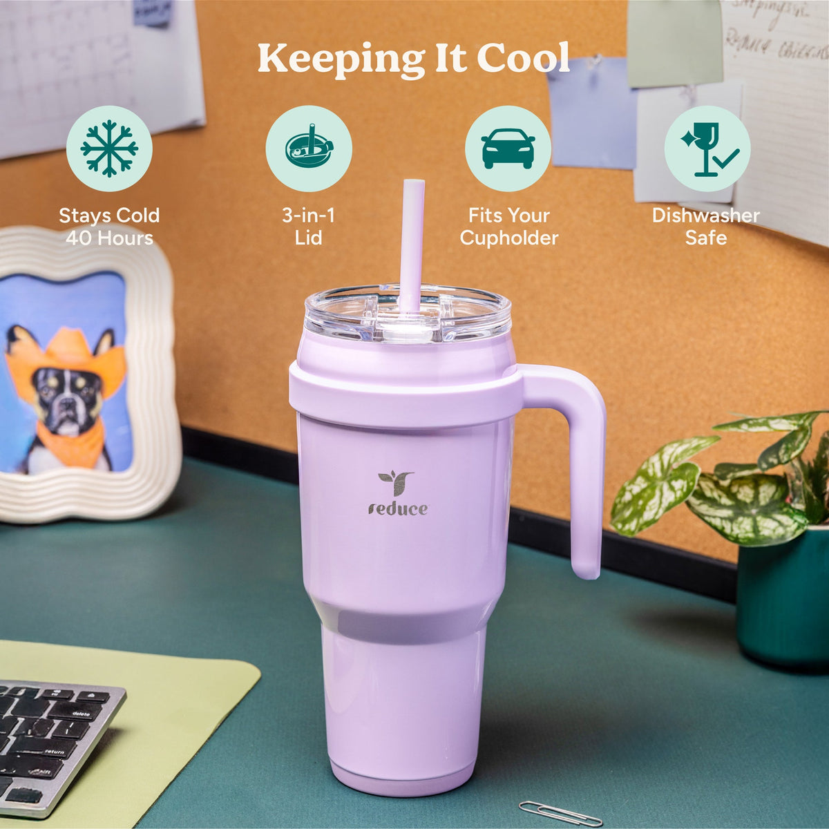 cold1-40-oz-k7 Cold1_40oz_LilacBud_Infographic_1.jpg