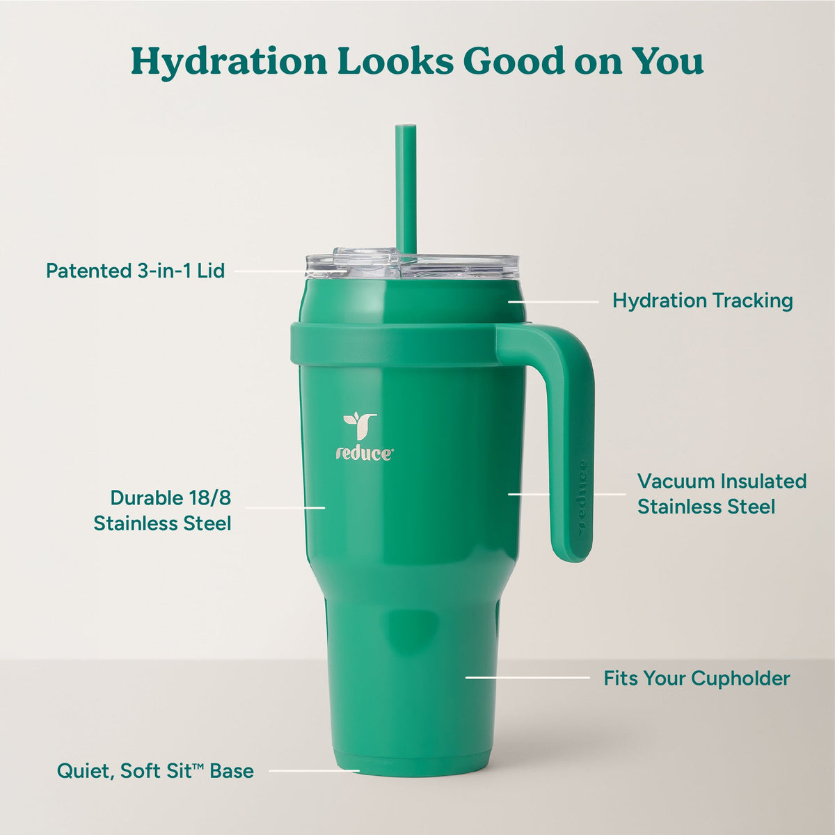 cold1-40-oz-k7 Cold1_40oz_PalmLeaf_Infographic_2.jpg