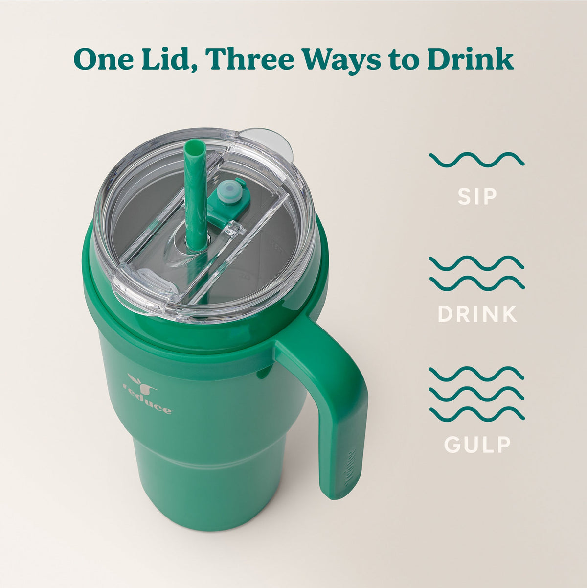 cold1-40-oz-k7 Cold1_40oz_PalmLeaf_Infographic_3.jpg