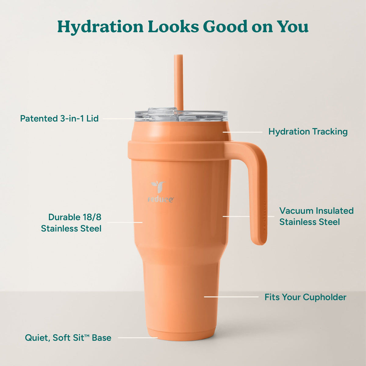 cold1-40-oz-k7 Cold1_40oz_Papaya_Infographic_2.jpg